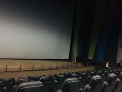 -天幕新彩云国际影城(激光巨幕店)