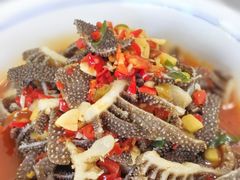 -珠梅土鸡(娄底市娄星区煤炭局东)