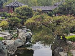 -中国唐苑