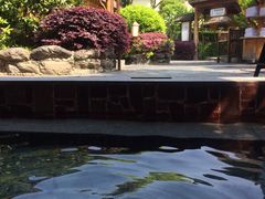 -庐山天沐温泉度假村