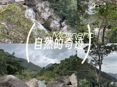 -海南热带雨林国家公园吊罗山景区