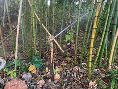-南诏风情岛