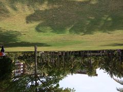 亚龙湾红树林度假酒店-三亚亚龙湾红树林度假酒店