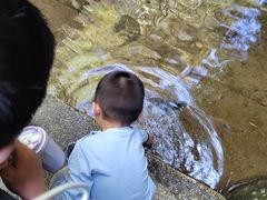 -藏龙百瀑风景区