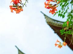 -中华世纪坛