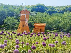 -苏州上方山国家森林公园