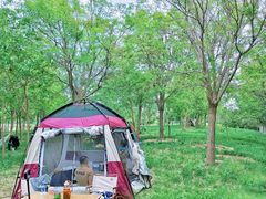 -天津东丽湖风景区