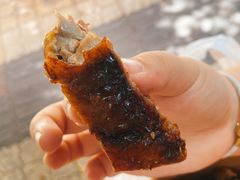 -王浩儿纪六孃甜皮鸭(乐山总店)