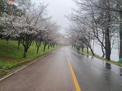 -团城山公园