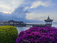 -洱海月湿地公园