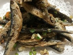 -全乐鱼馆·淳牌有机鱼直营店