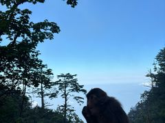 -峨眉山风景名胜区