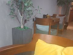 -梵猫·新养生(湛江鼎盛店)