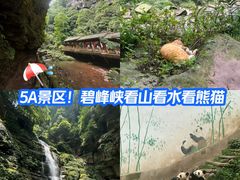 -碧峰峡风景区
