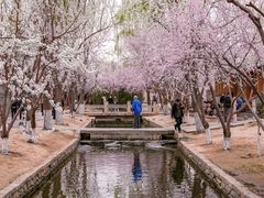 -三里河公园