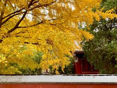 -香山公园