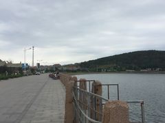 -烟墩角天鹅湖