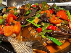 -金龙寨(解西店)