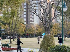 -新江湾城公园