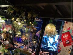 -胡桃里音乐酒馆(石家庄店)