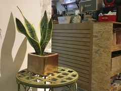 -拾壹cafe·工作室