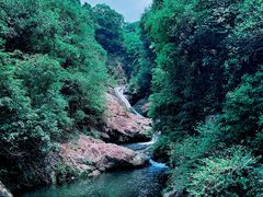 -马峦山郊野公园