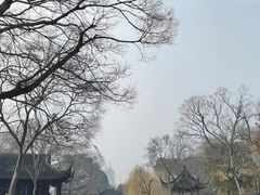 -拙政园