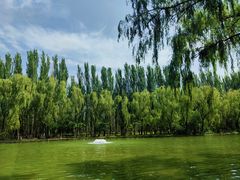 -阿尔丁植物园
