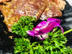 -唯成•韩国炭火烤肉 유성고기