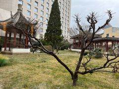 -九献创意菜·牛排馆(亮马河花园店)