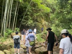 -莫干山风景区