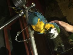 那家小馆(中关村店)-那家小馆•北京菜•烤鸭(中关村店)