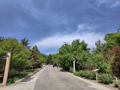 -鹫峰国家森林公园