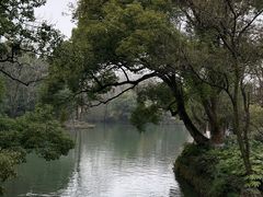 -西溪国家湿地公园