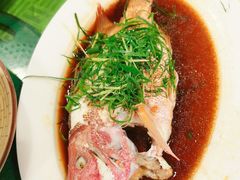 清蒸红瓜子-盛港湾海鲜食府(黄沙店)
