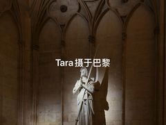 -巴黎圣母院
