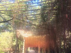 -揭东万竹园旅游景区