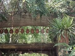 -中国科学院西双版纳热带植物园