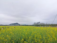 -光明小镇欢乐田园