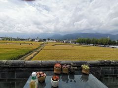 -喜林苑·稻田餐厅(品相府店)