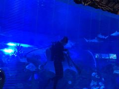 -成都浩海立方海洋公园