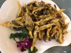 -人民公社大食堂(顺义总店)