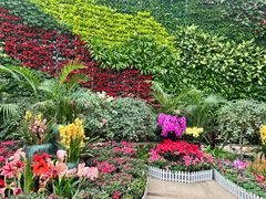 -石家庄市植物园