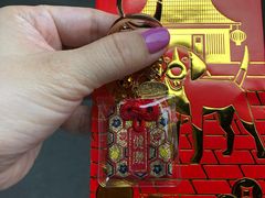 -新加坡佛牙寺龙华院