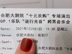 -合肥大剧院