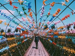 -草原天路(张北县)