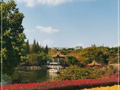-深圳龙潭公园