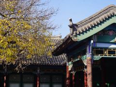 -张学良旧居陈列馆