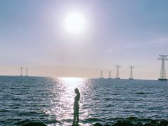 -宝安西湾红树林湿地公园