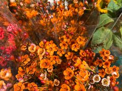 -盒马鲜生(首义店)